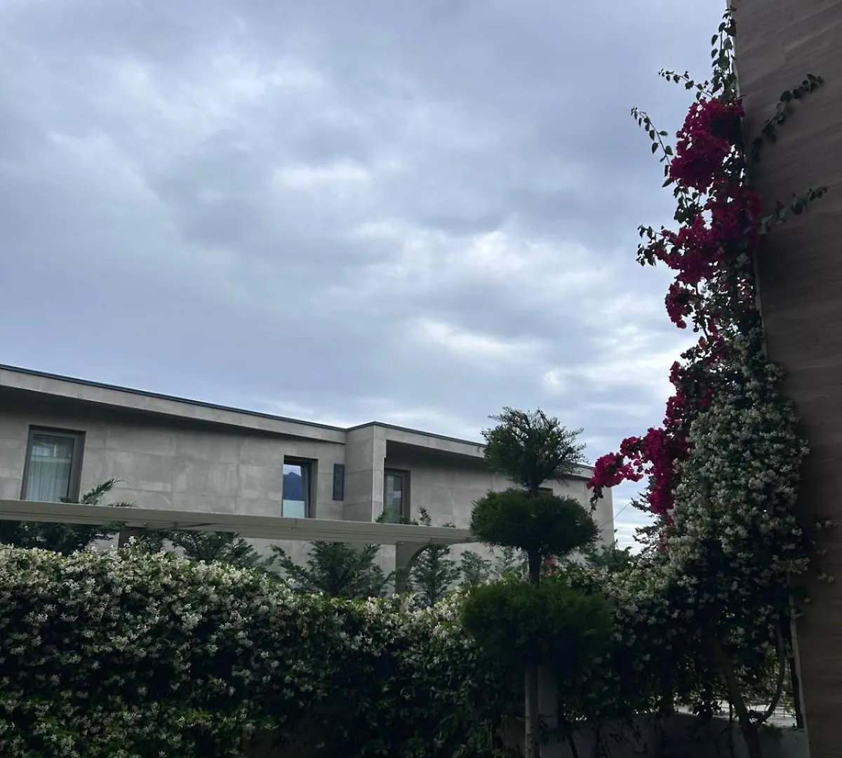 דרמי Olea Family Apt With Garden 0*,